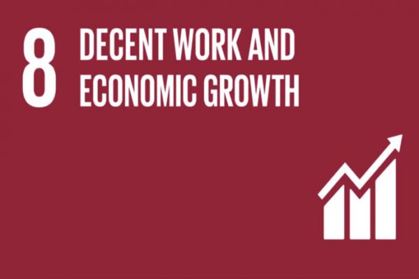 Goal 8 - Decent Work and Economic Growth